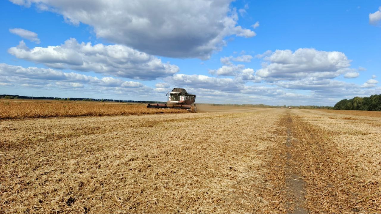 Марксовские аграрии собрали более половины урожая 2025 года